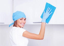 DIY Bathroom Cleansers You Will Love